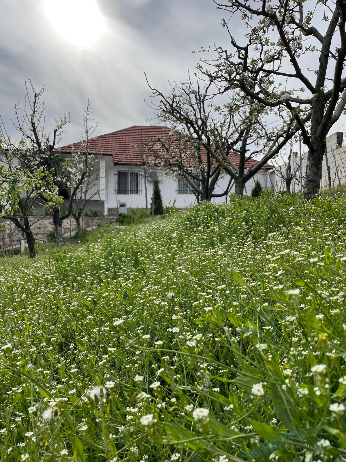 Countryside Holiday Villa