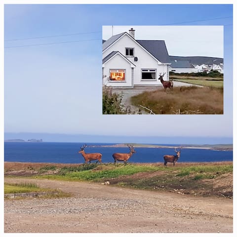 莱特肯尼（Letterkenny）的民宿