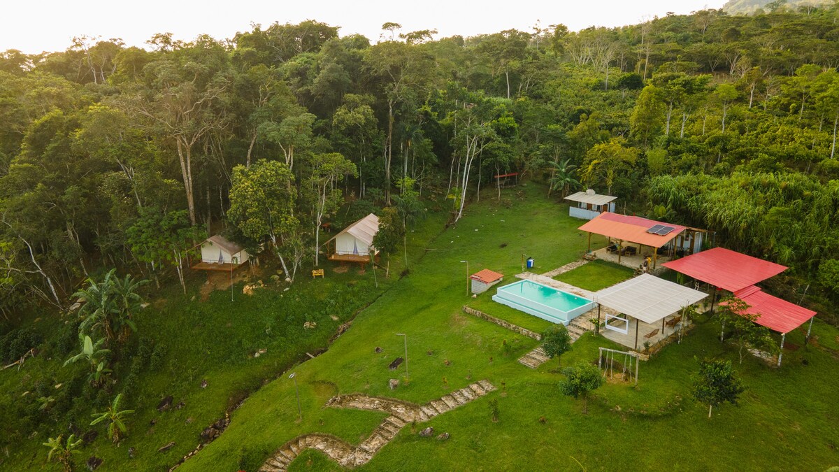 Glamping, Experiencia de Lujo en la Selva