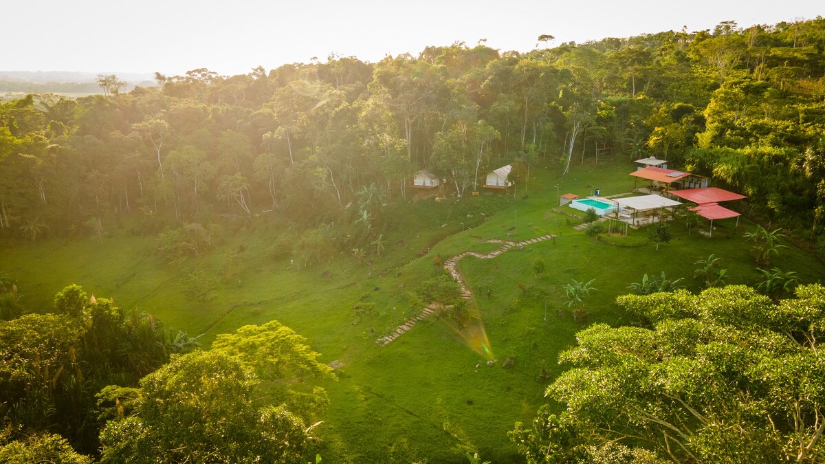 Glamping, Experiencia de Lujo en la Selva