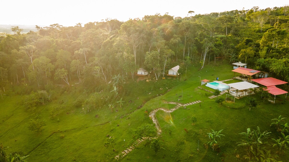 Glamping, Experiencia de Lujo en la Selva