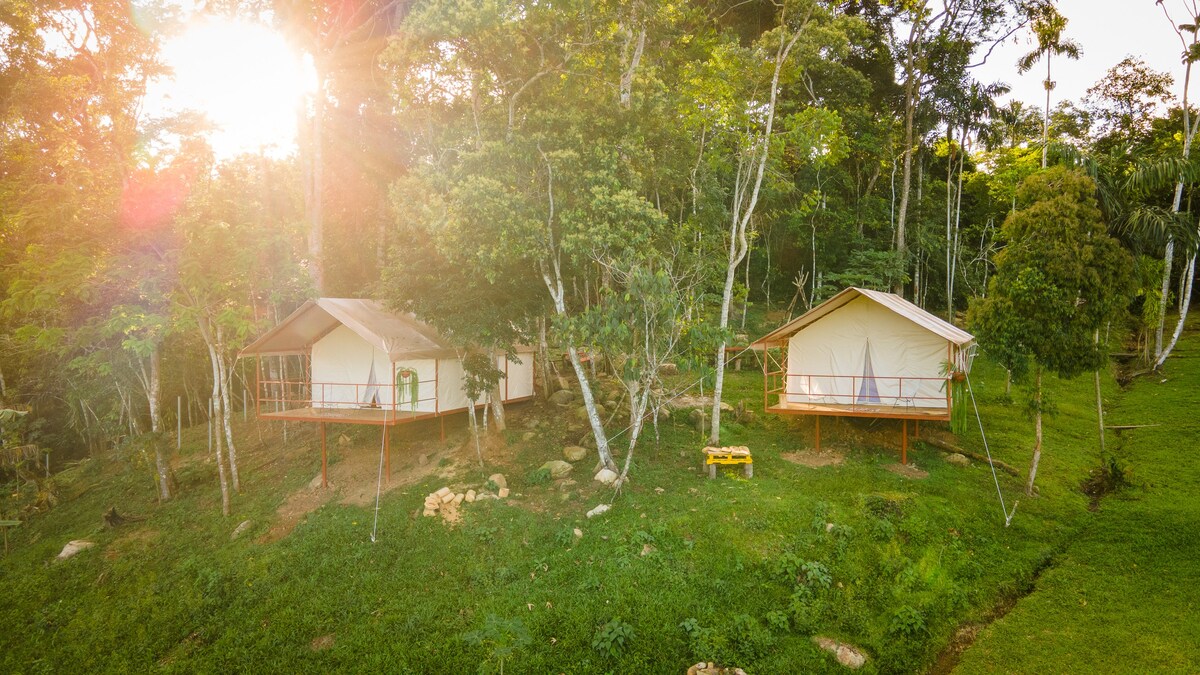 Glamping, Experiencia de Lujo en la Selva