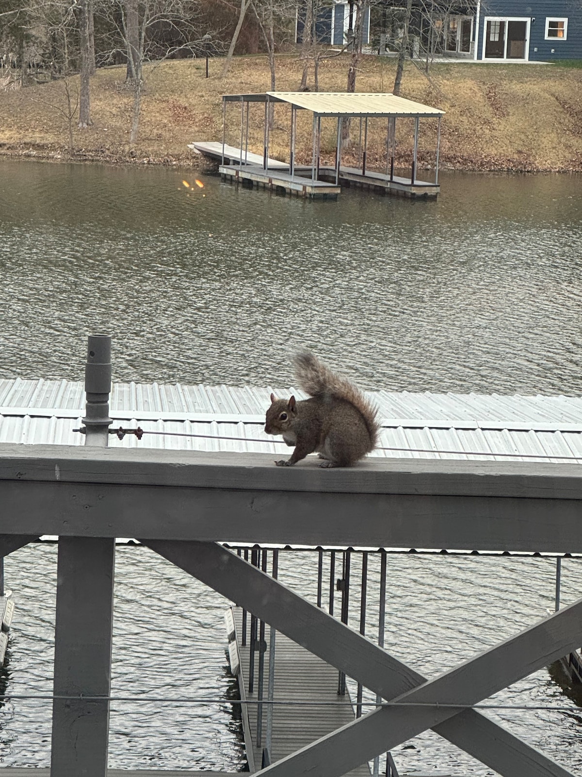 Lakefront Lodge
at Lake of Egypt