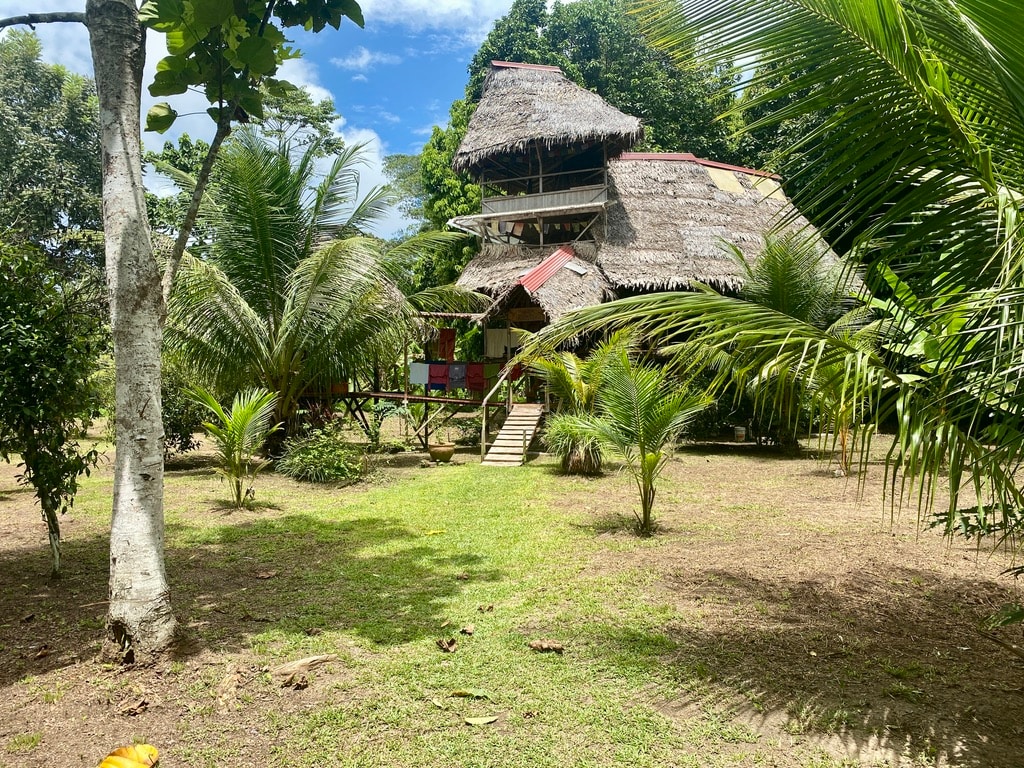 Jungle Lodge with lookout tower