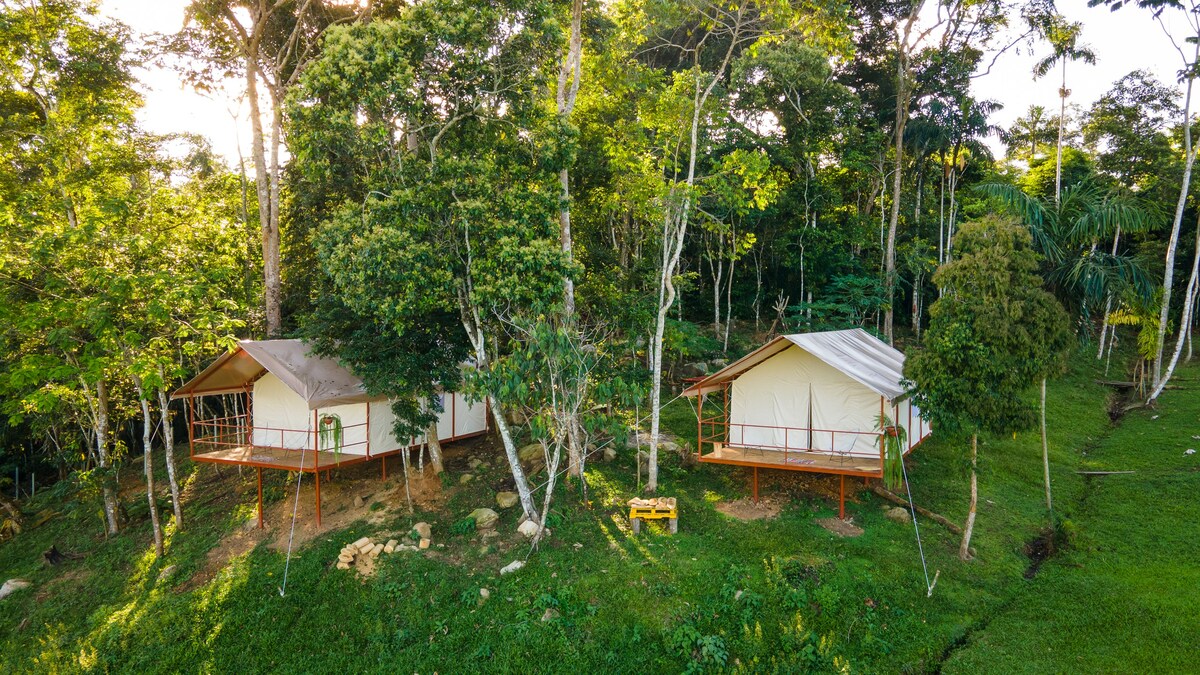 Glamping, Experiencia de Lujo en la Selva.