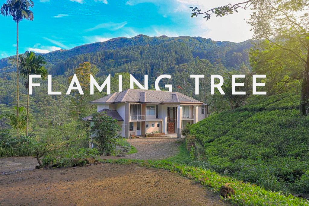 Flaming Tree Resort