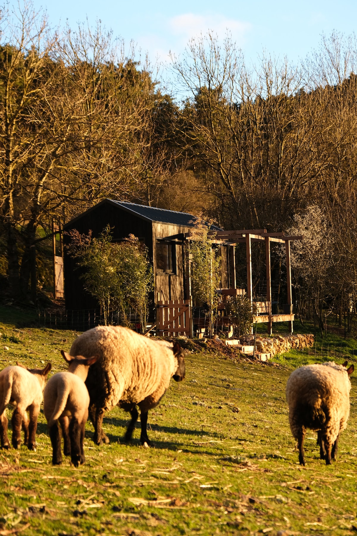 Tiny House: Maison Moka