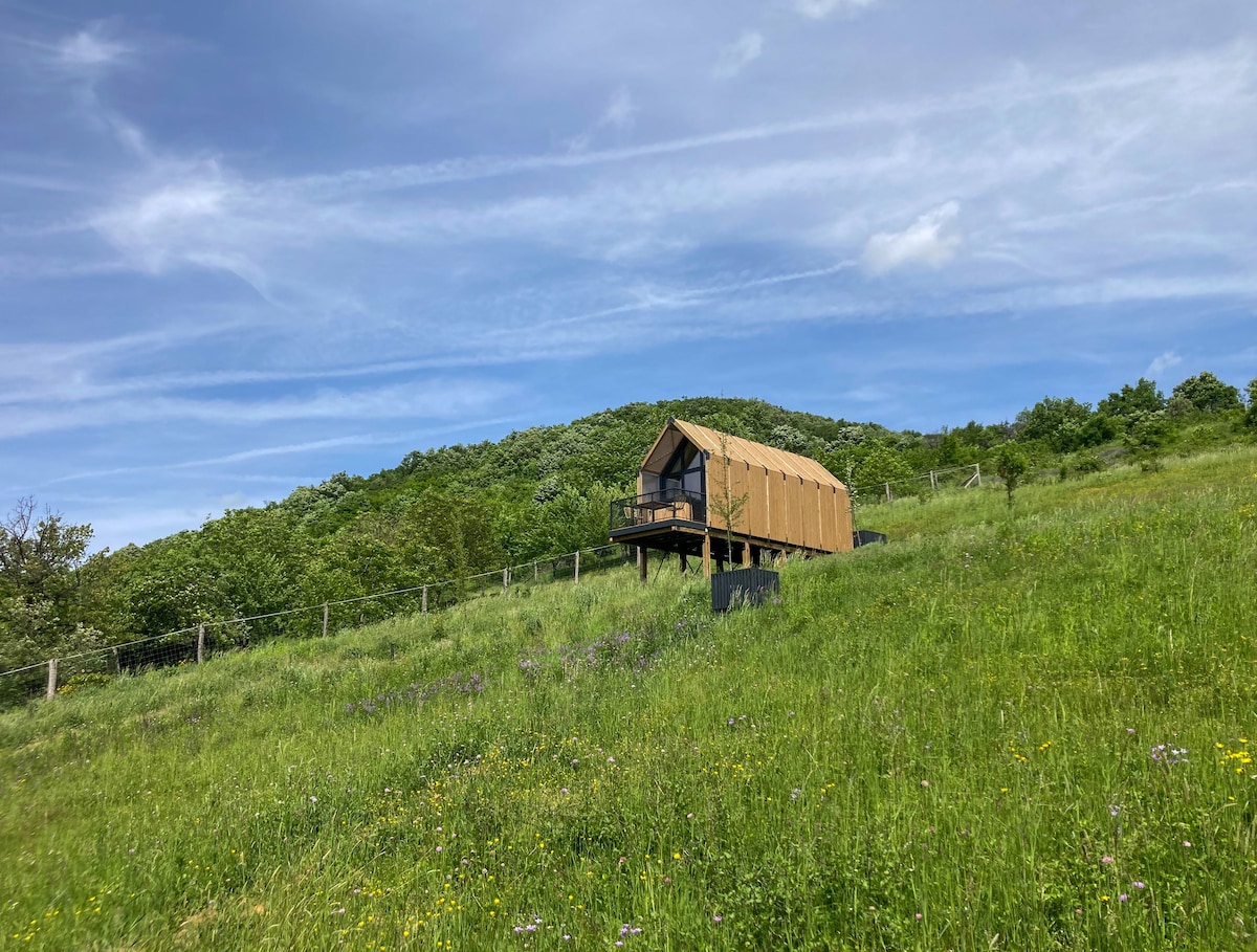 StagLand Cabins - Moose