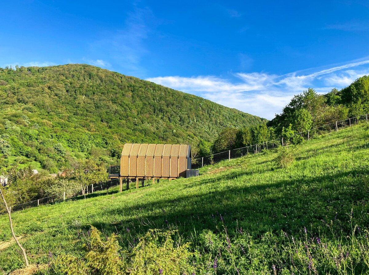 StagLand Cabins - Moose