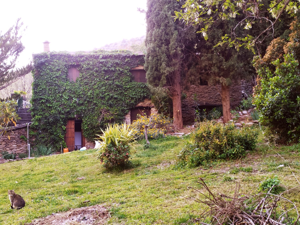 "Casa Granada" Cortijo de estilo bohemio andalusí