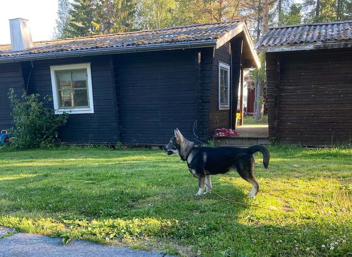 Natur och handikappvänliga Yrvädersvägen