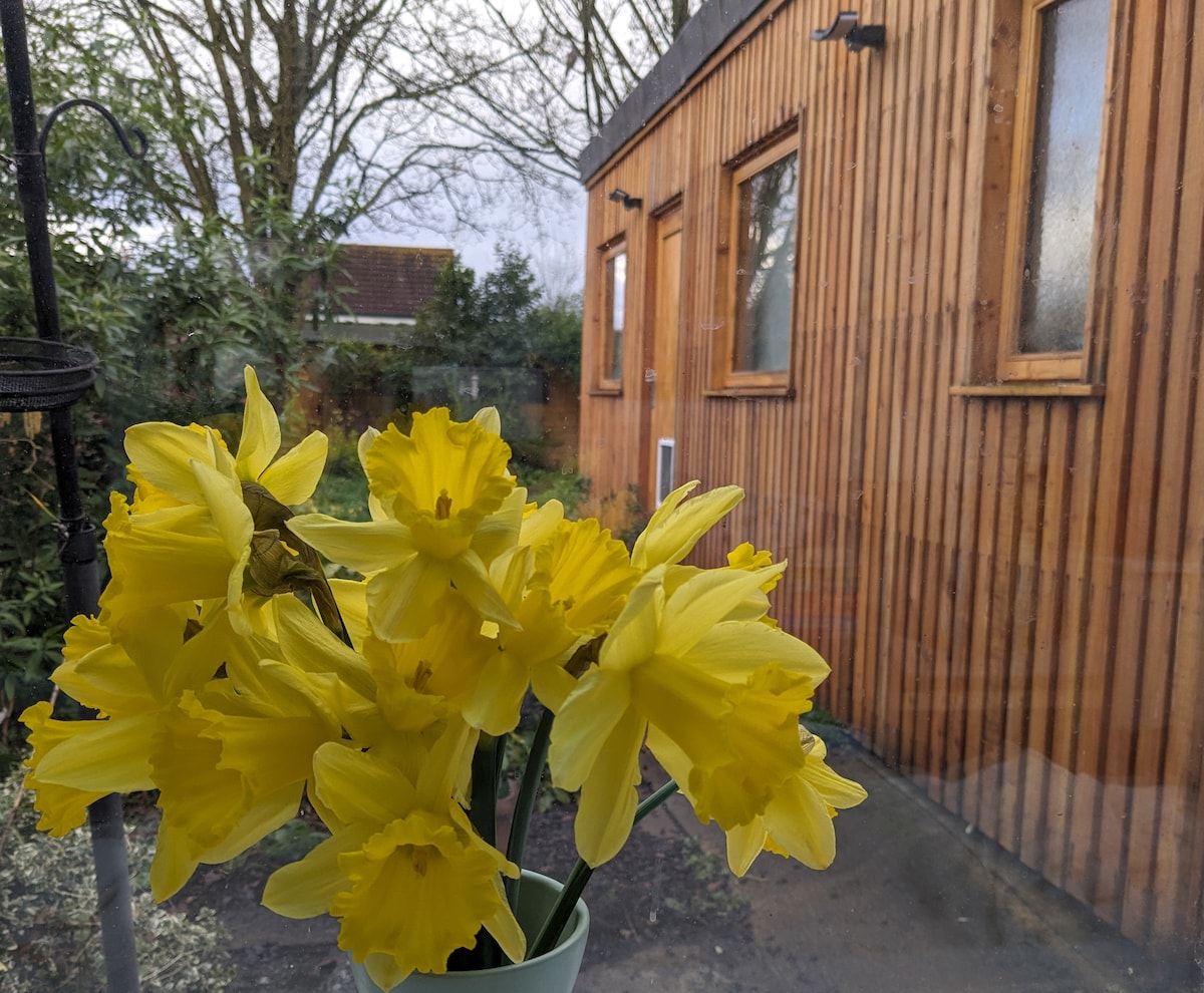 约克橡树小屋（ Oak Tree Cabin ）