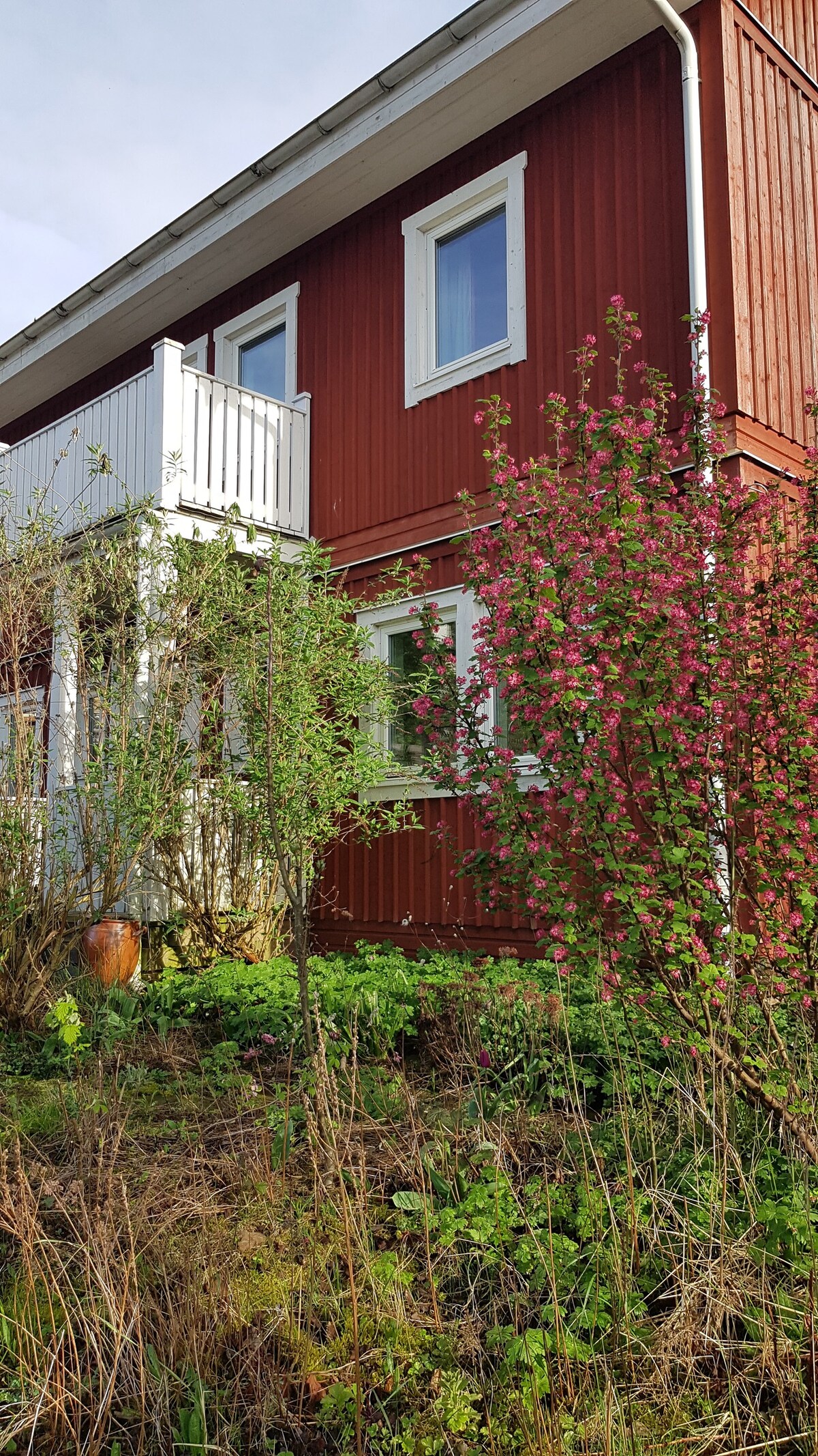 科隆附近带花园的舒适瑞典民宅