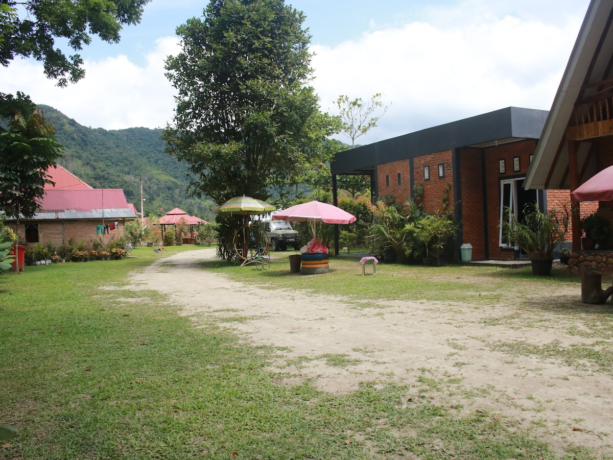 Penginapan Nyaman di Lembah Harau