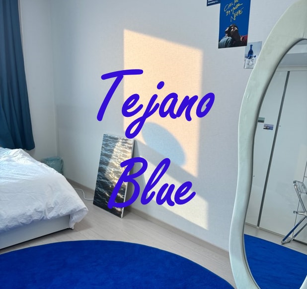 Tejano blue
빔 프로젝터, 다이슨 드라이기, 공용주차장, 버스정류장, 편의점 1분