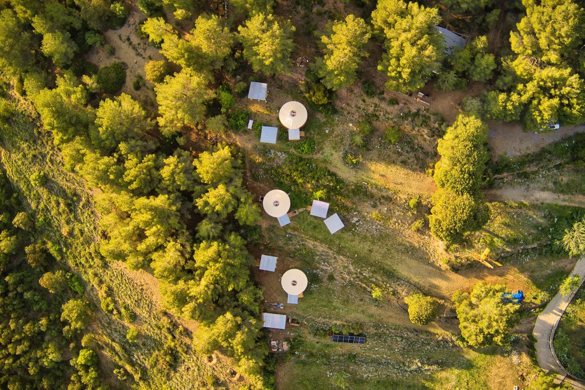 蓝色蒙古包度假屋（ Blue Yurt Retreat