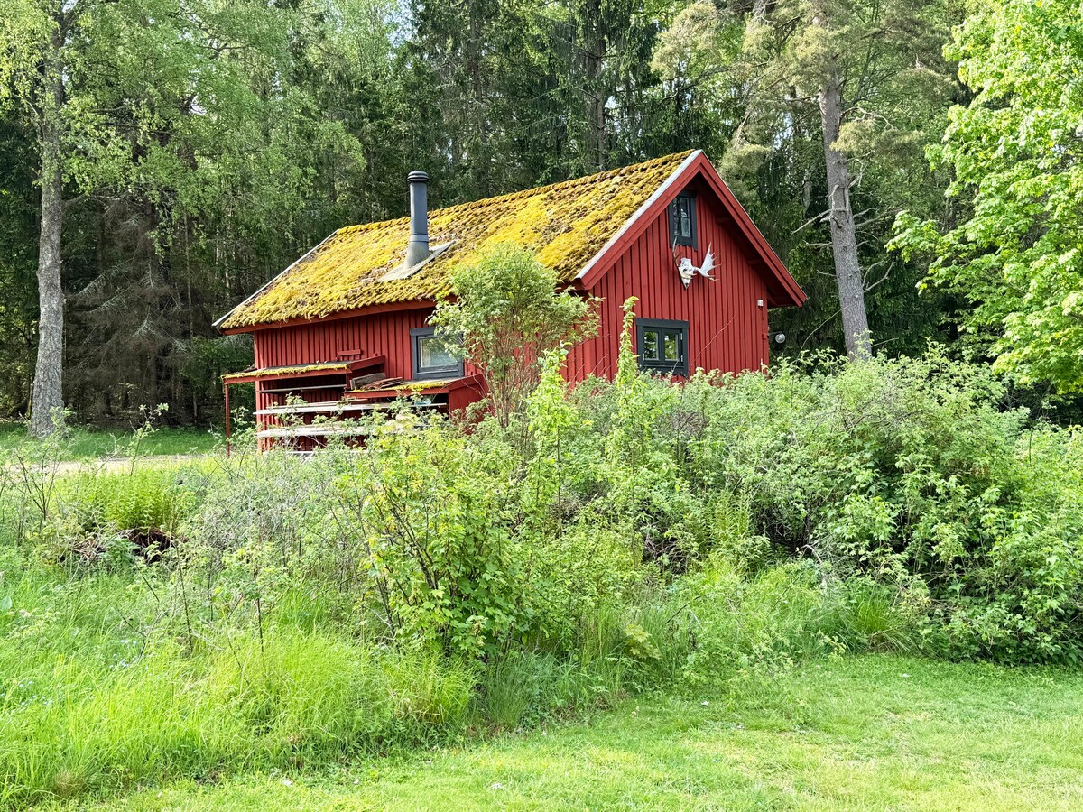 Historic wilderness cabin near Tystberga | Se14012