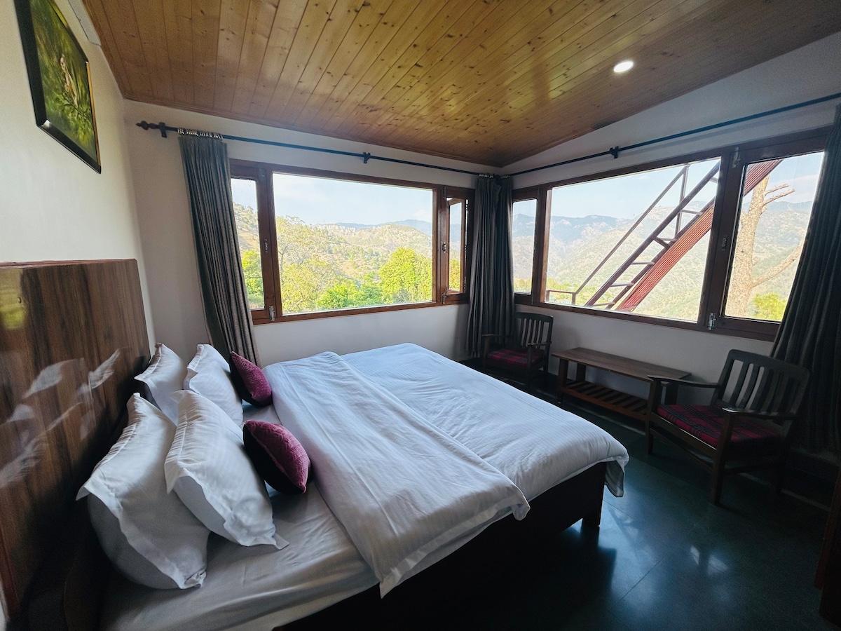 Secluded amidst nature Shri Villa Shimla