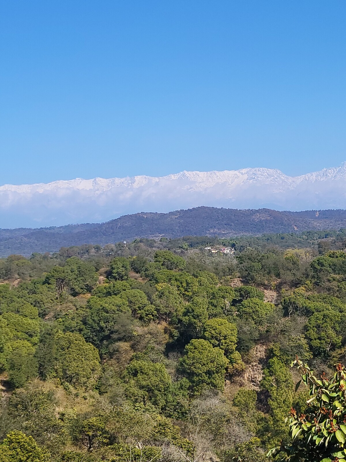 Home at the foothill of Dhauladhar.