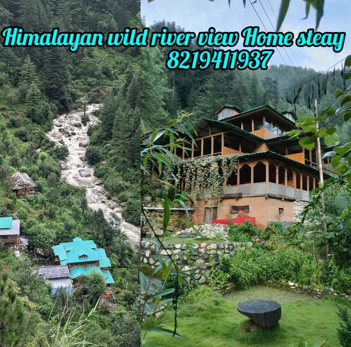 Himalayan Wild Riverview honesty