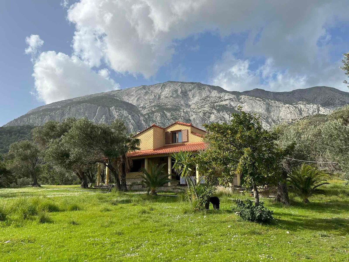 Stone cottage in an olive grove