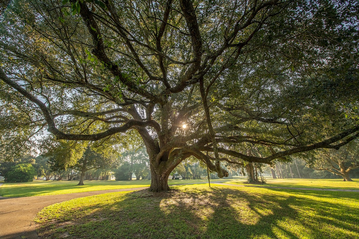 Tallahassee/Thomasville Retreat at Mistletoe