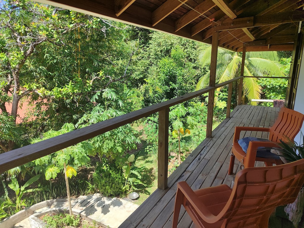 Green lodging with treehouse feel at "Casalina"