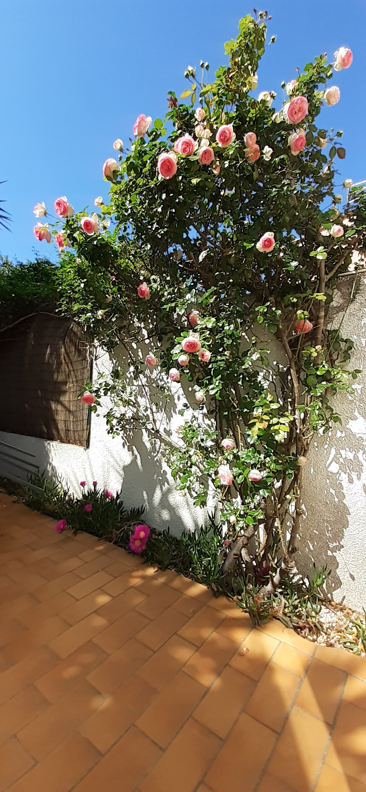 Maison avec jolie terrasse