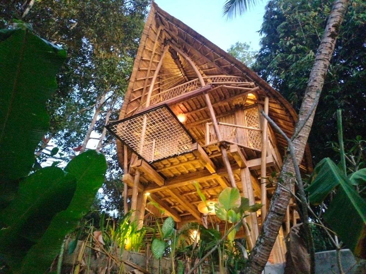 Magical Bamboo Hideaway