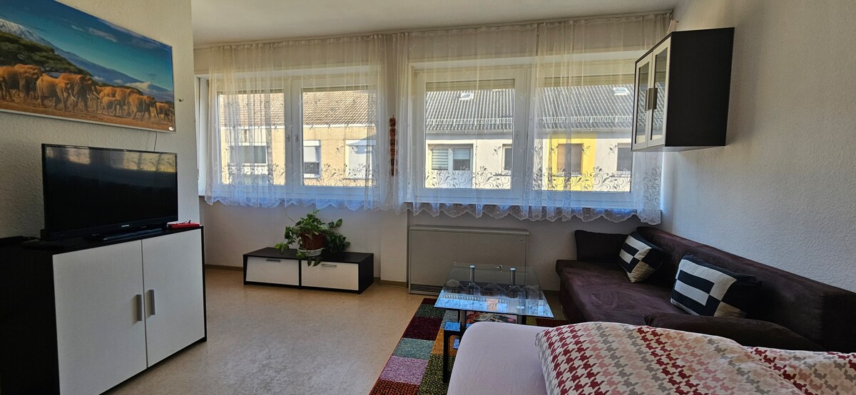 曼海姆（ Mannheim ）市中心舒适公寓