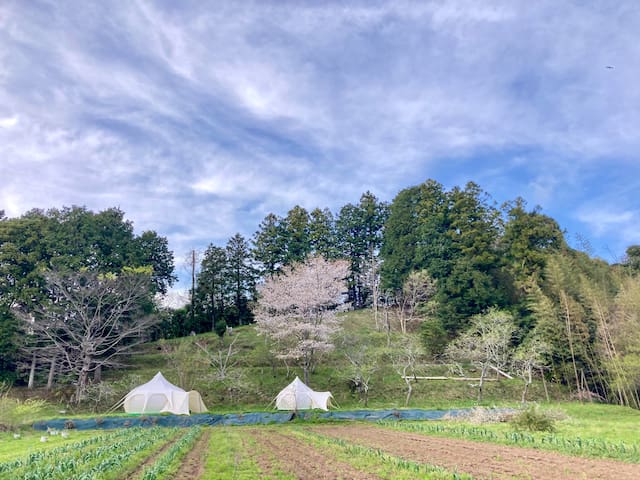 君津市的民宿