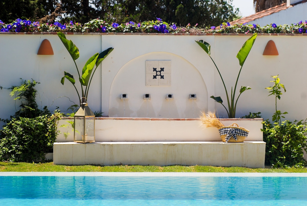 El Patio del Limonero en Chiclana.泳池+花园