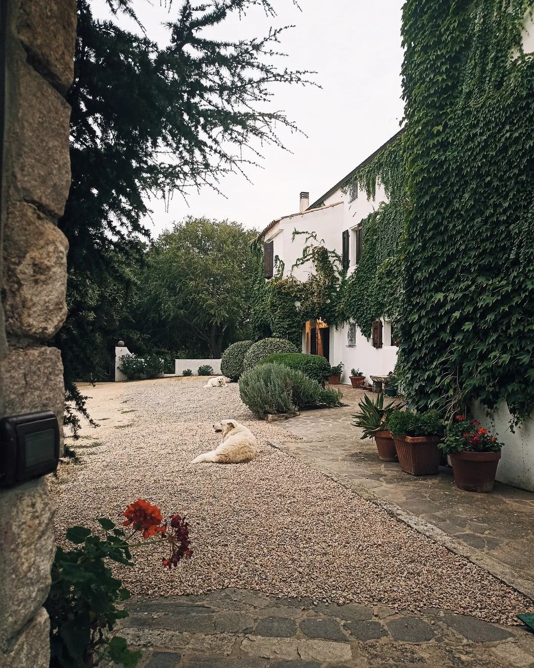 「Casa d 'Artista」Muscazega charme in Antico Stazzo