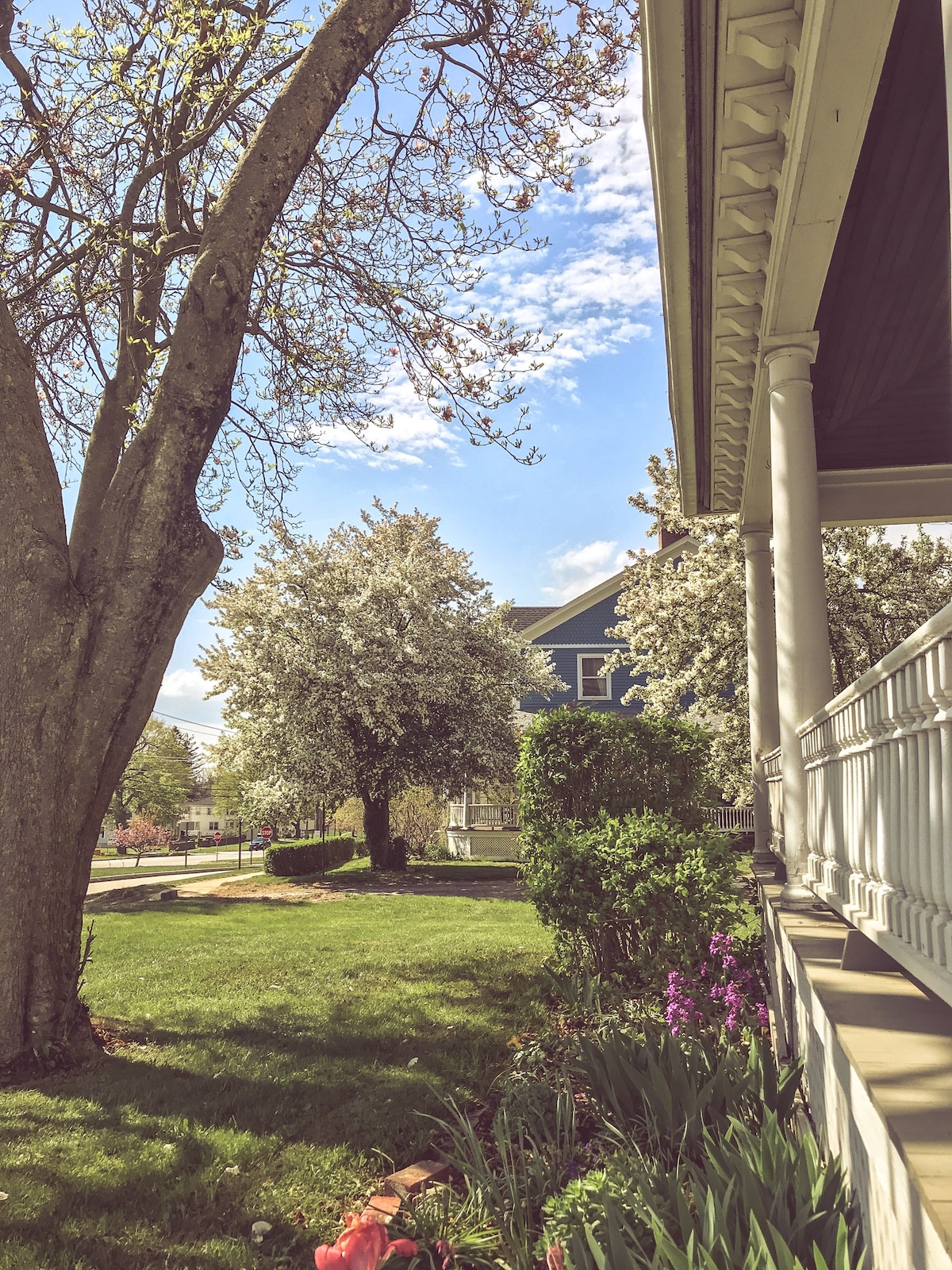 The O'Connell House, whole home rental