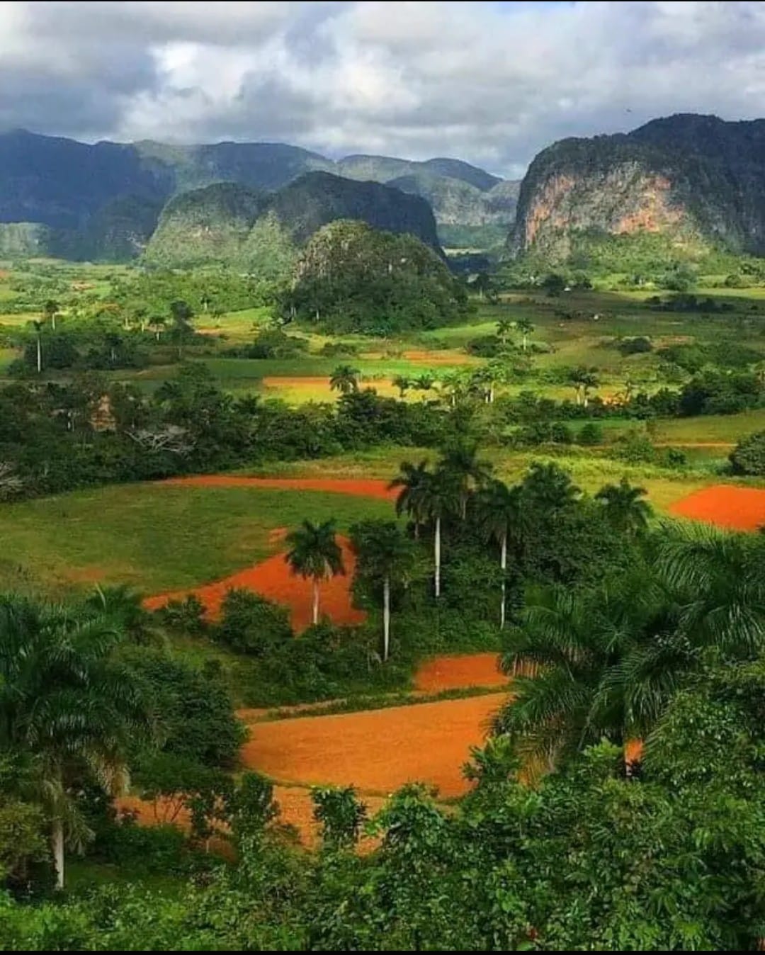 Villa Migue y Esther in Vinales