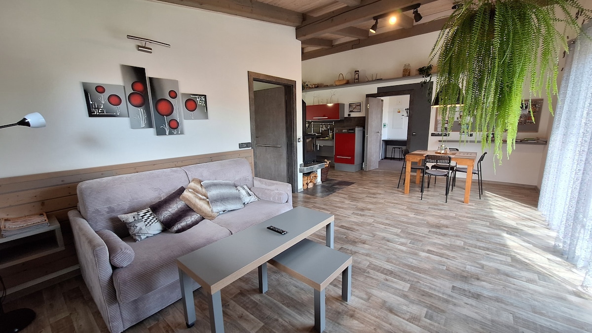 Apartmány Pod Lesem-bezbariérový apartmán A