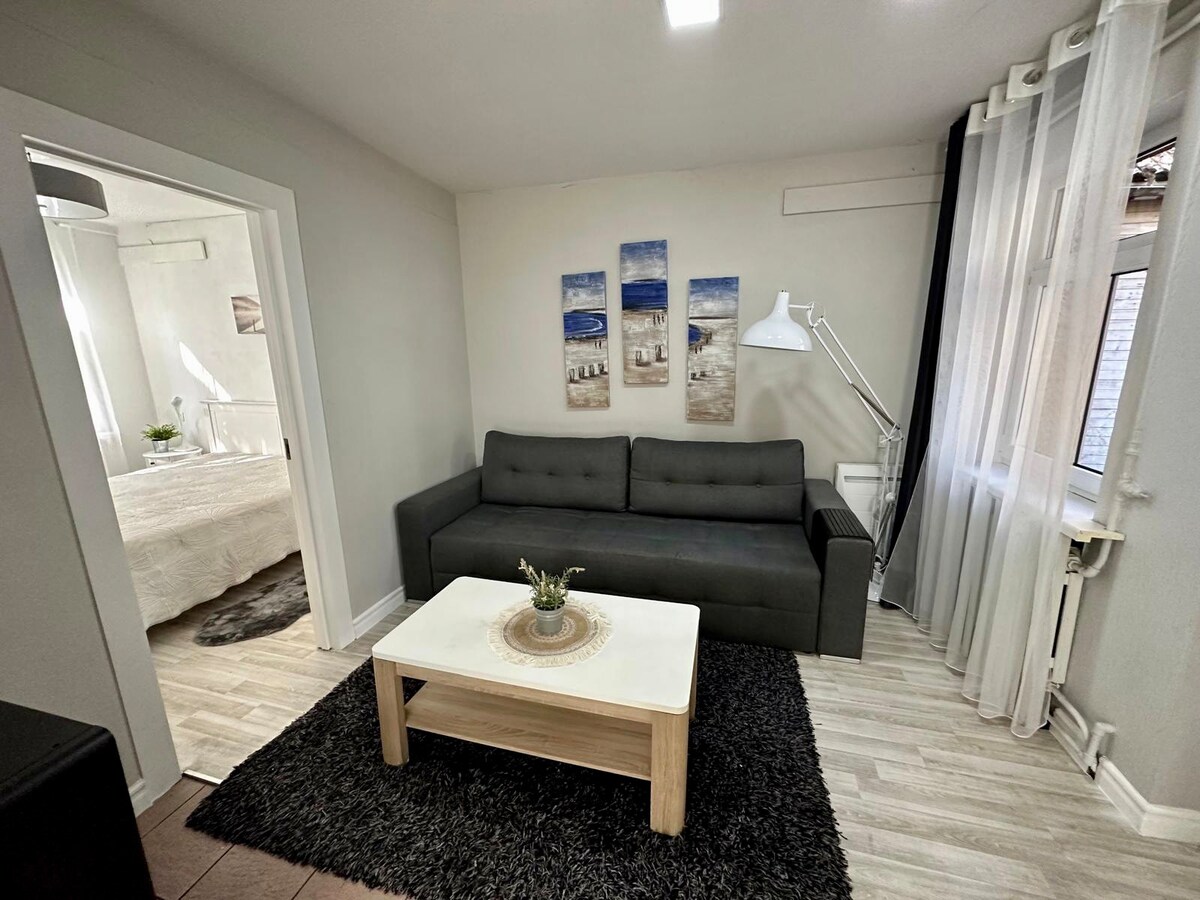 Two-bedroom apartment in Jurmala Center