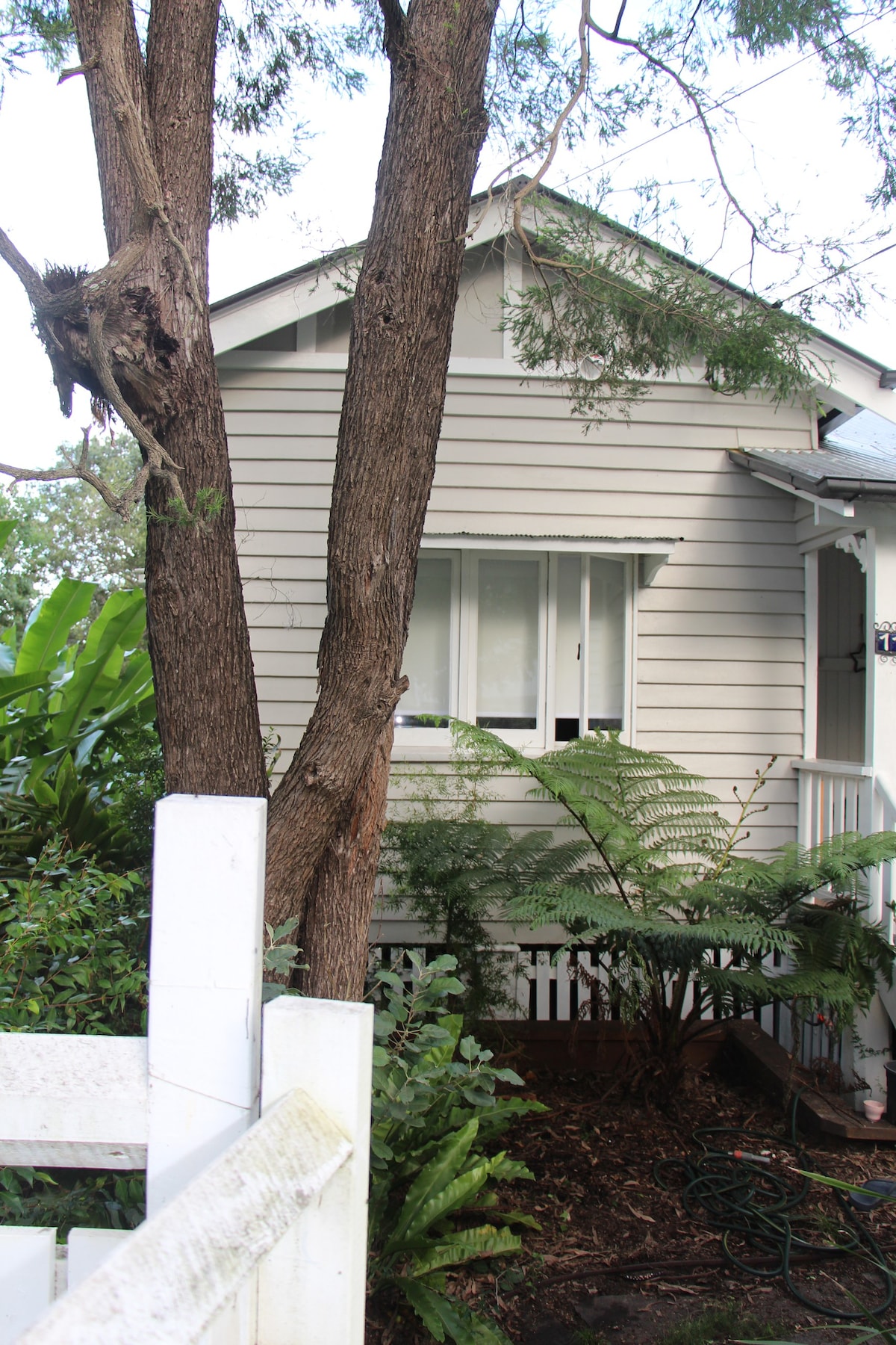 Ashgrove Character Cottage in the tree tops