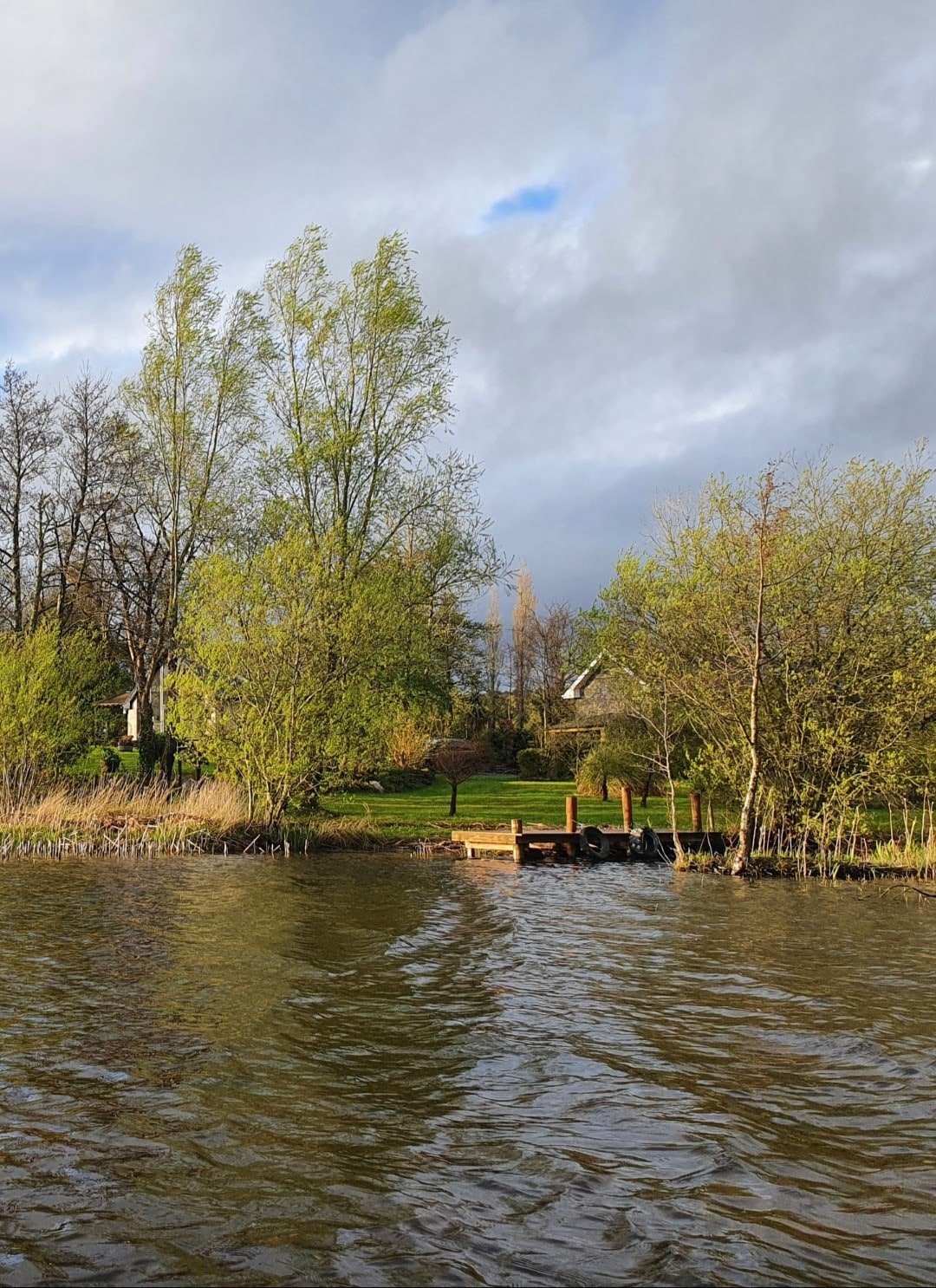 Lough Arrow乡村小屋