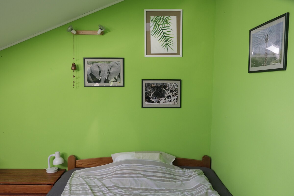 绿色房间