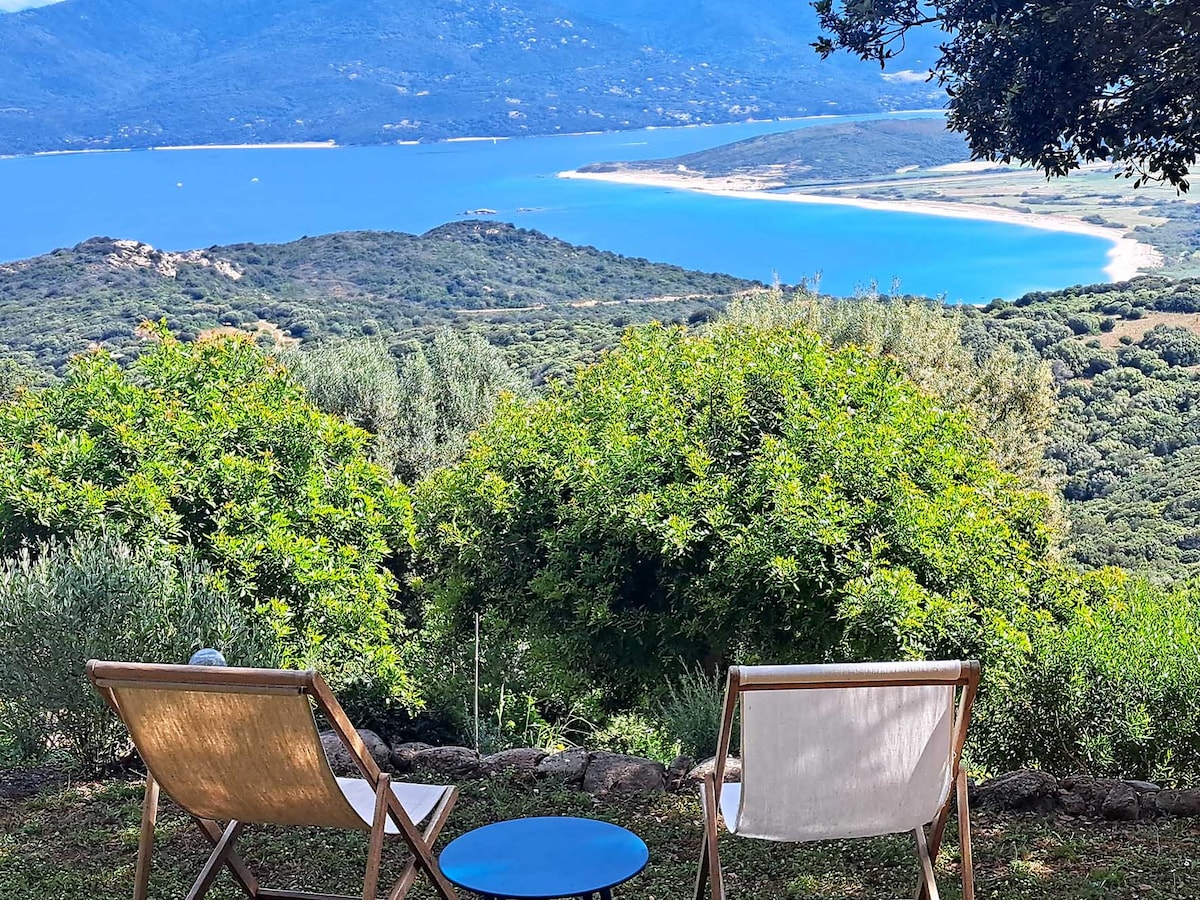 Corse-du-Sud. Belvédère. Muredda (Senetosa)