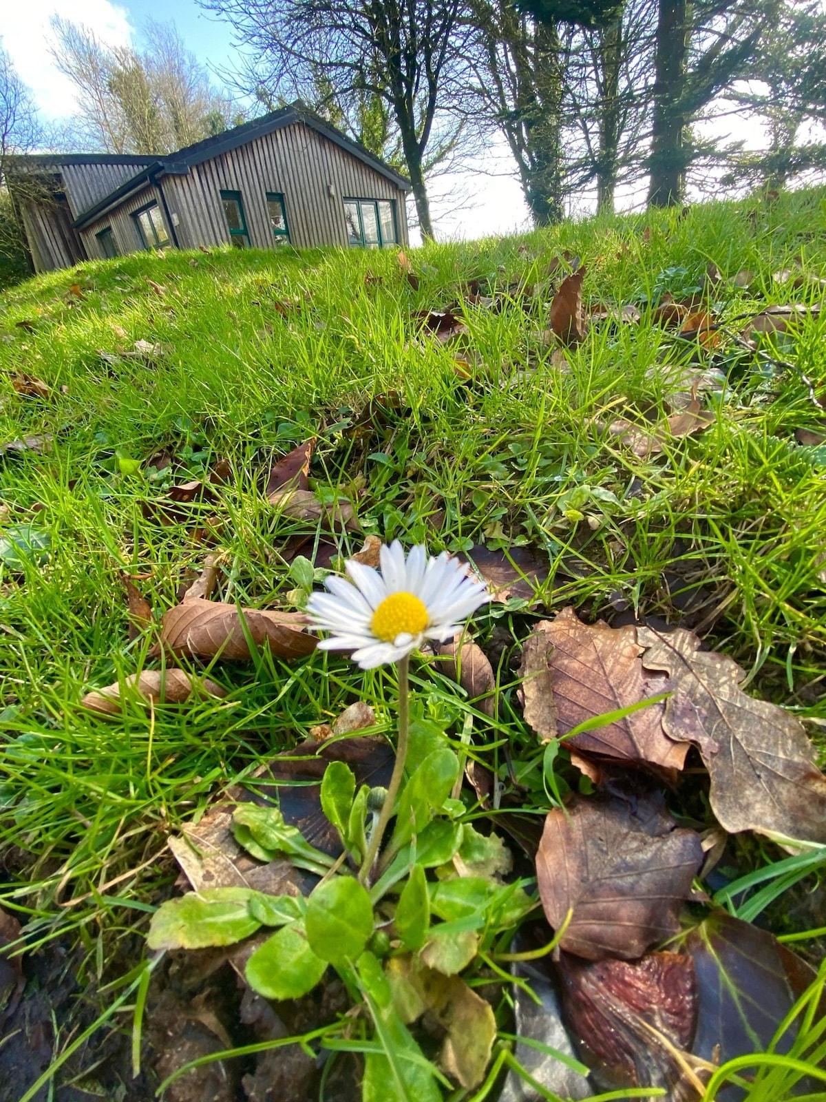 Ballyhoura Mountain Lodge