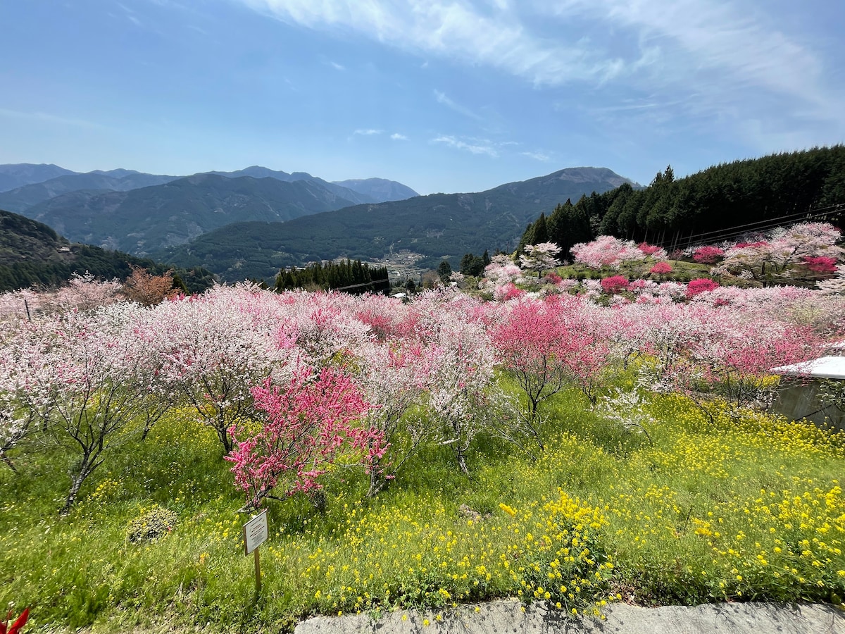 [令人印象深刻的景观！高野天文台（ Koya Observatory ） ，您可以在那里欣赏云海、星空和夜景