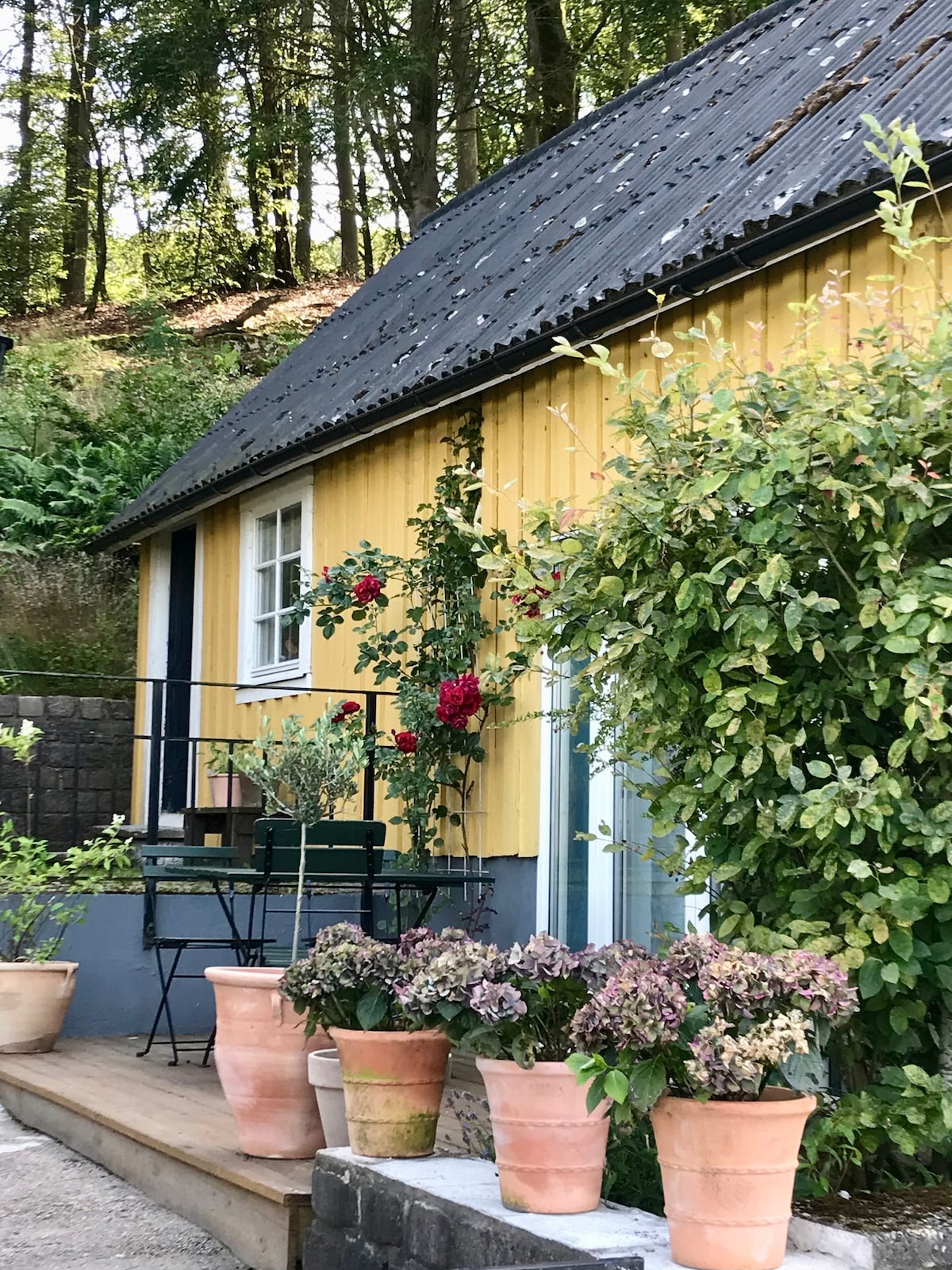 Båstad和Swedish Riviera附近的乡村小屋