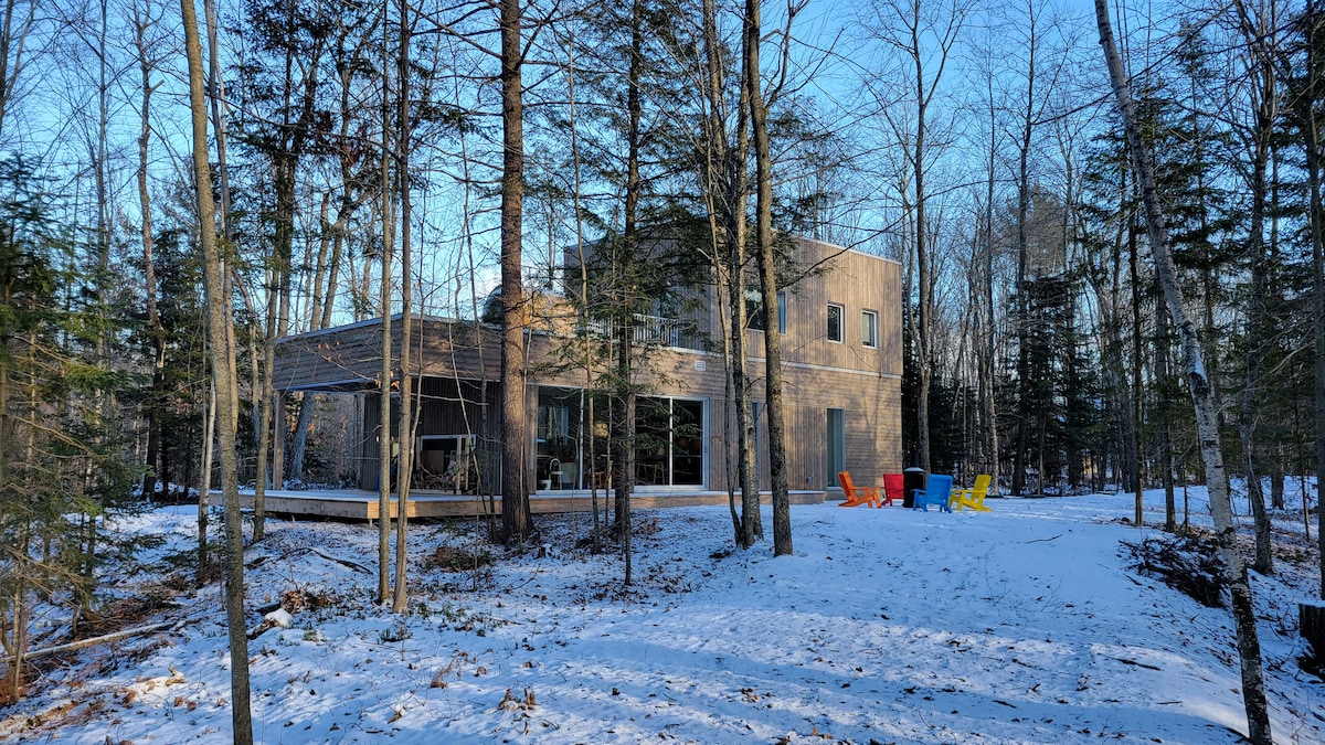 Chalet architectural en forêt