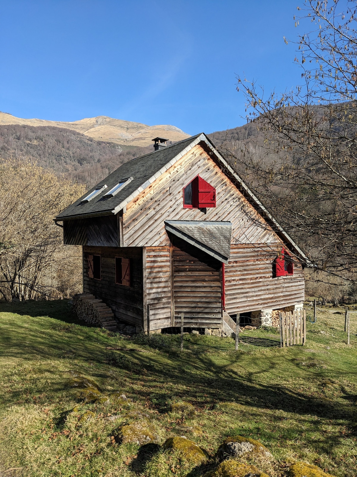 Chalet de la forêt d 'Issaux n ° 3: le montagnard