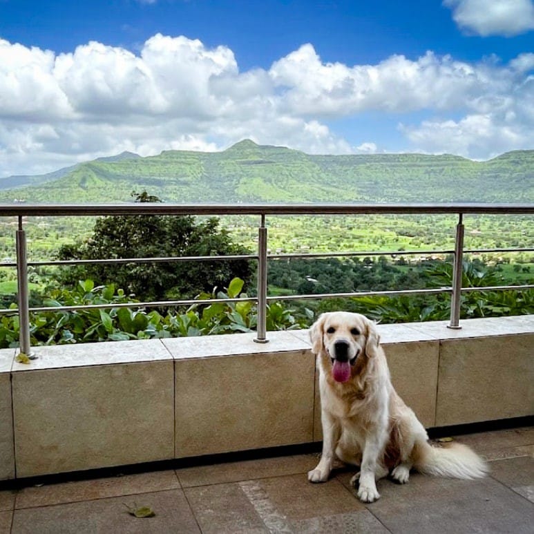 Mrudgandh泳池别墅_靠近Lonavala和Pune