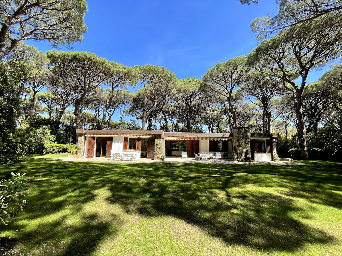 Villa in Pineta di Roccamare