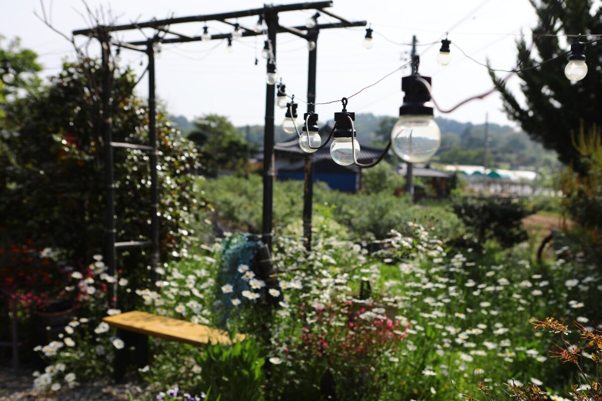 达阳村韩屋的「花屋」，非常适合家庭旅行