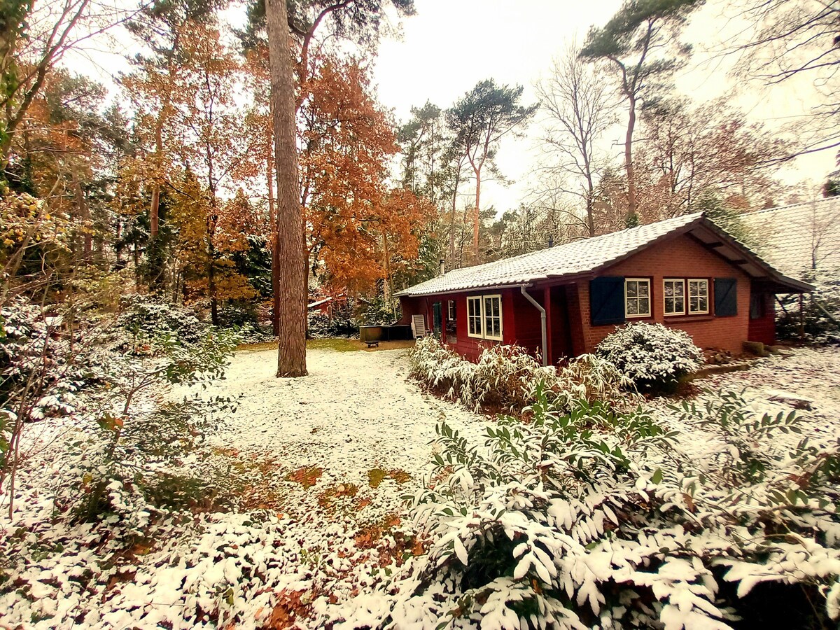 Boshutje in Winterswijk